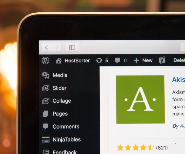 Most Popular Content Management Systems